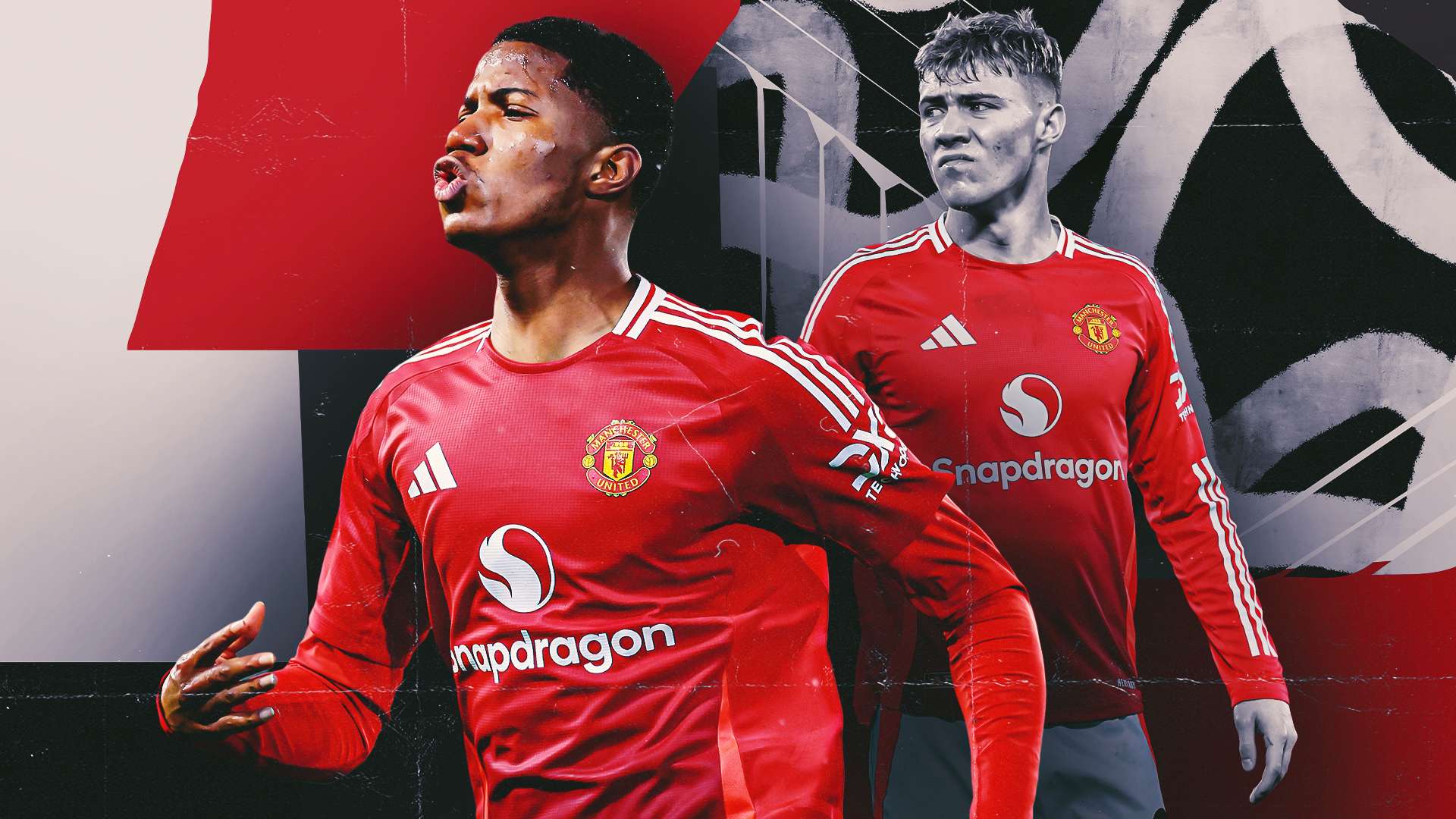 适应能力使 适应能力使